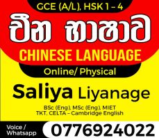 Receive an A grade for Chinese (A/L) from an experienced teacher. Online and group classes
