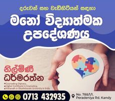 Psychological Counseling for Children and Adults/ Oriental Music/ English Speech and Grammar/ Tuition for children with special needs
