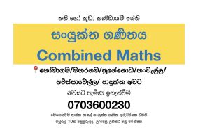 Combined maths Theory/ Revision/ Paper Class