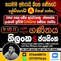 9 - 11 වසර ගණිතය (online) පන්ති
