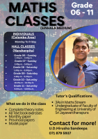 Grade 6-11 Maths Individual Classes