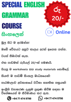 Special English Grammar Course